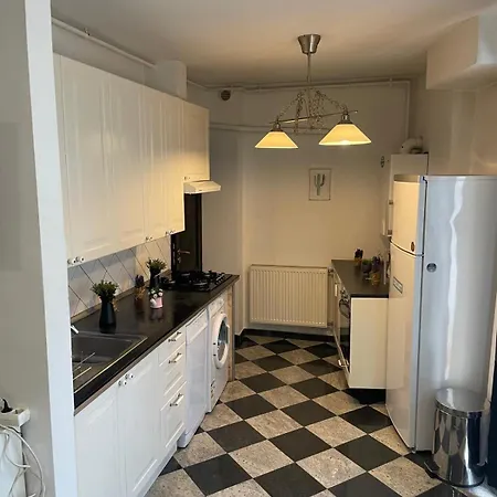 Cozy 1 Bdrm In Center Daire