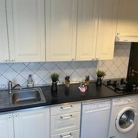 Cozy 1 Bdrm In Center Boekarest