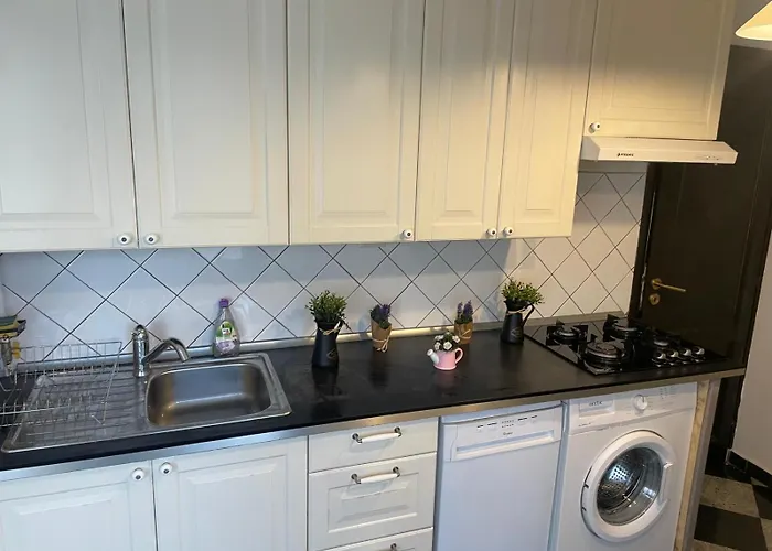 Cozy 1 Bdrm In Center Bukarest